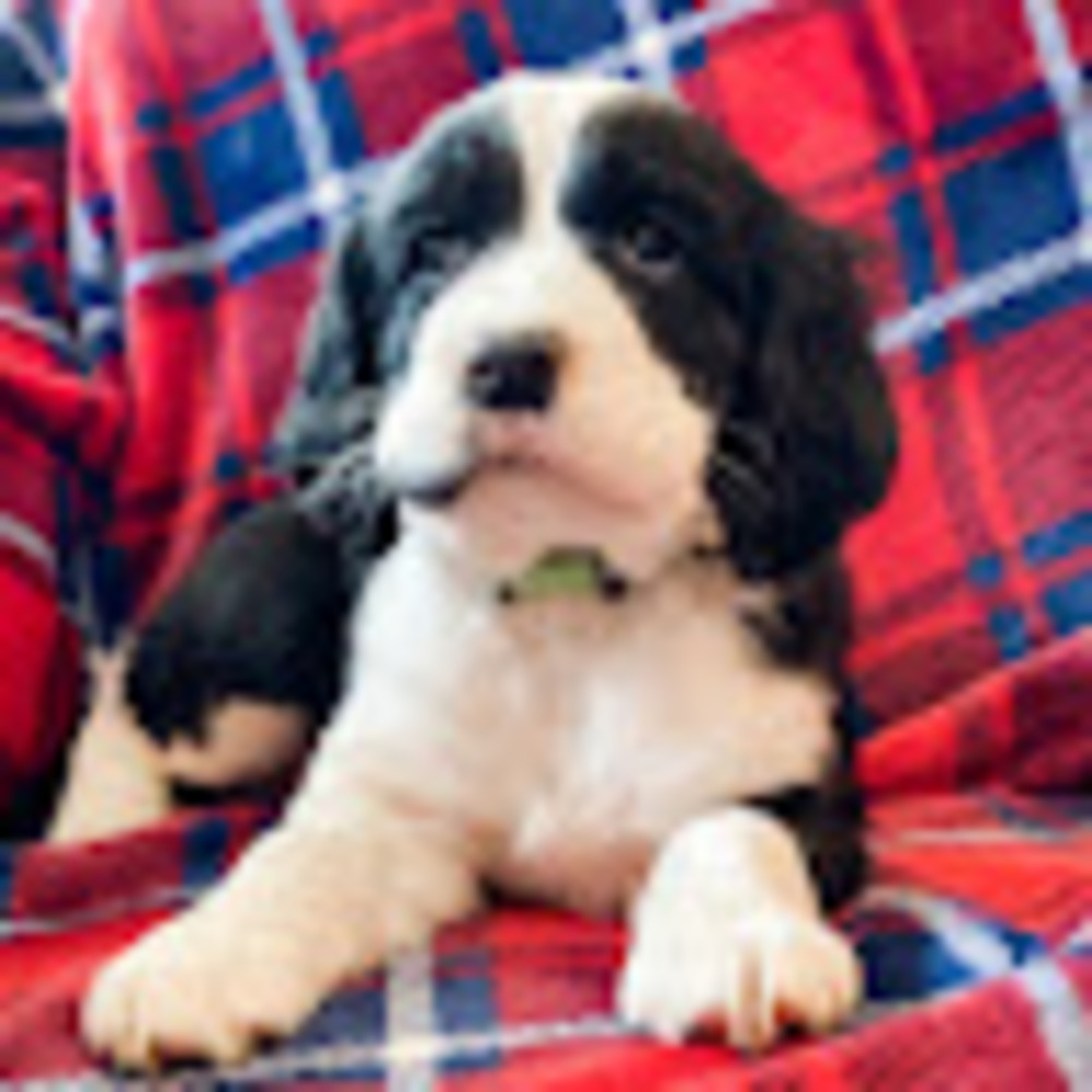 Meet your Posher, Kaiya